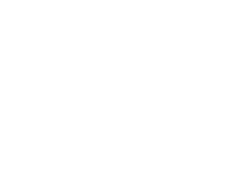 solea logo