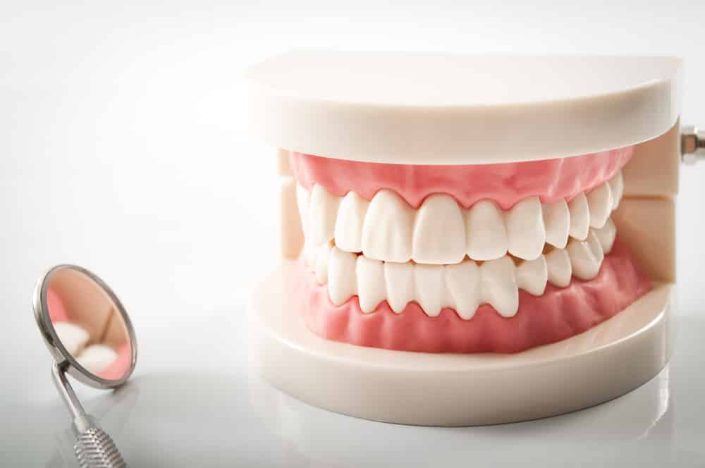 A model of teeth next to equipment from our safe dental office