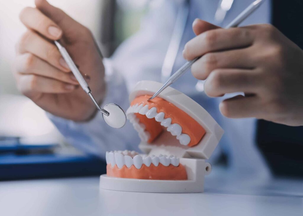 Dental professional examining a dental model with tools, illustrating the importance of crowns for damaged teeth in maintaining oral health.