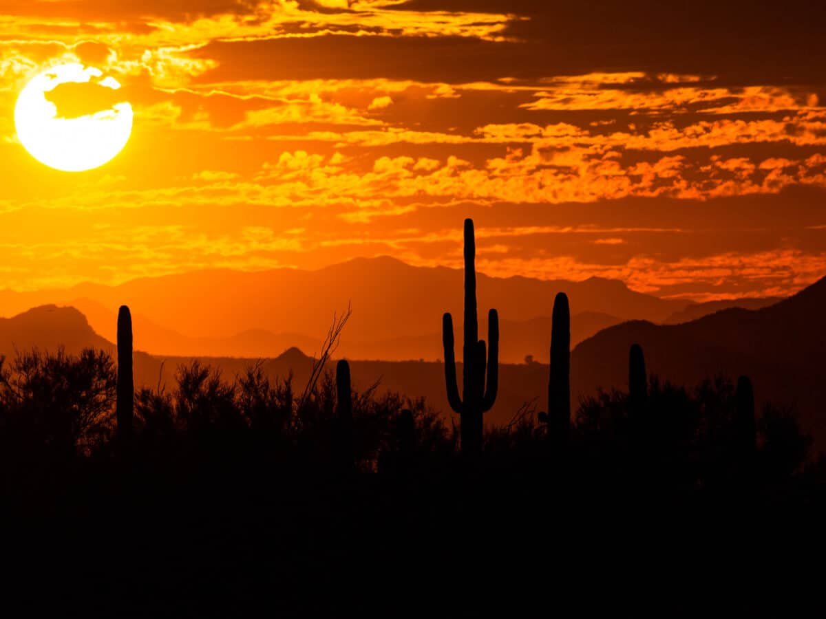 How Oro Valley’s Climate Affects Your Oral Health