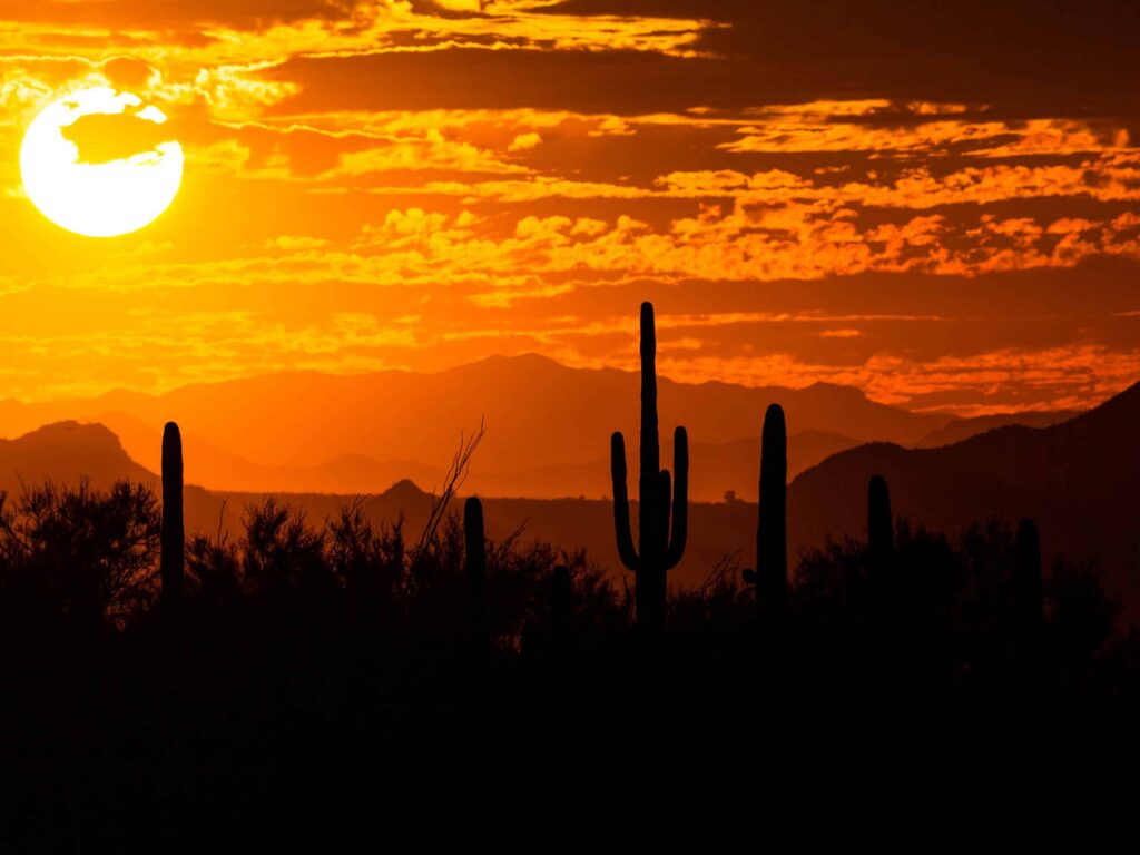 Desert sunset over Oro Valley with silhouetted saguaro cacti and mountains, illustrating the region's arid climate affecting oral health.